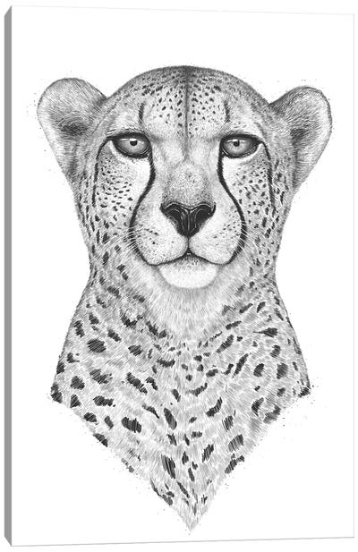 Cheetah Canvas Art Print - Valeriya Korenkova