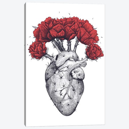 Cactus Heart Canvas Print #VAK41} by Valeriya Korenkova Art Print