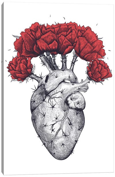 Cactus Heart Canvas Art Print - Valeriya Korenkova