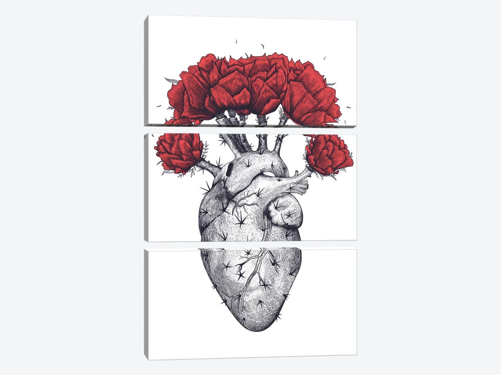 Cactus Heart by Valeriya Korenkova 3-piece Canvas Art Print