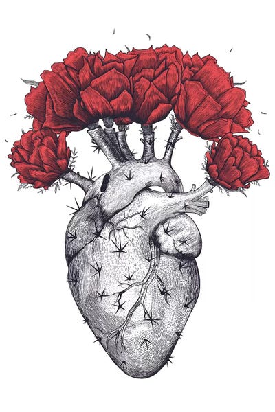 Cacti: Cactus Heart by Valeriya Korenkova
