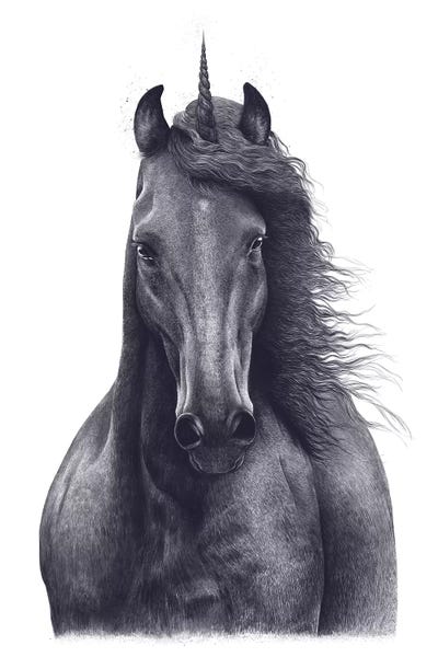Black & White Drawings & Illustrations: Unicorn by Valeriya Korenkova