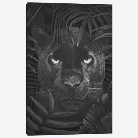 Panther In Jungle Canvas Print #VAK45} by Valeriya Korenkova Canvas Artwork