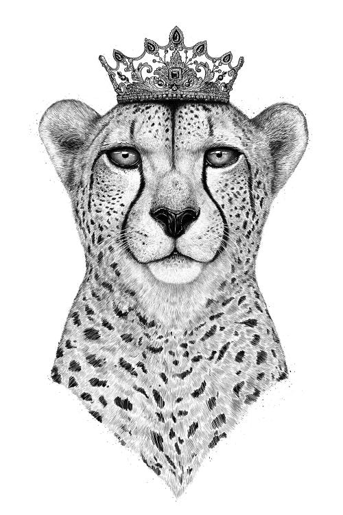 Queen Cheetah