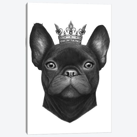 Queen French Bulldog Canvas Print #VAK51} by Valeriya Korenkova Canvas Art