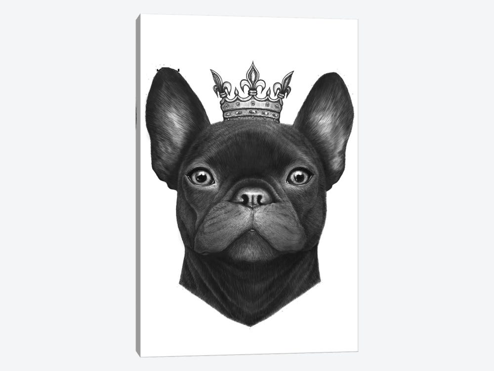 Queen French Bulldog by Valeriya Korenkova 1-piece Canvas Art