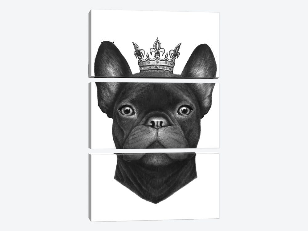 Queen French Bulldog by Valeriya Korenkova 3-piece Canvas Artwork