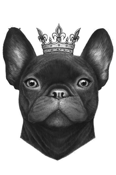 French Bulldogs: Queen French Bulldog by Valeriya Korenkova