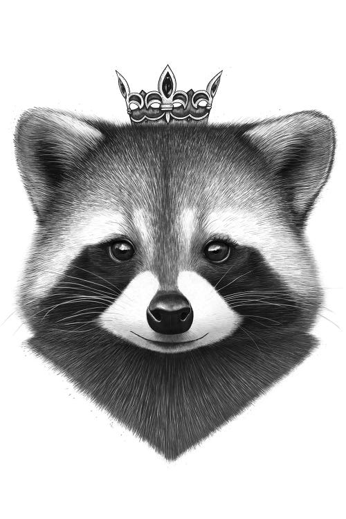 Queen Raccoon by Valeriya Korenkova canvas print