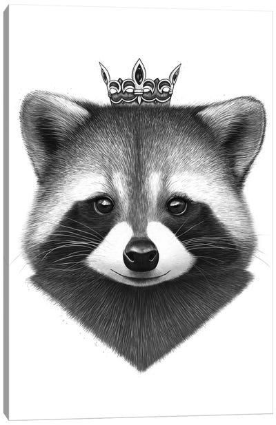 Queen Raccoon Canvas Art Print - Valeriya Korenkova