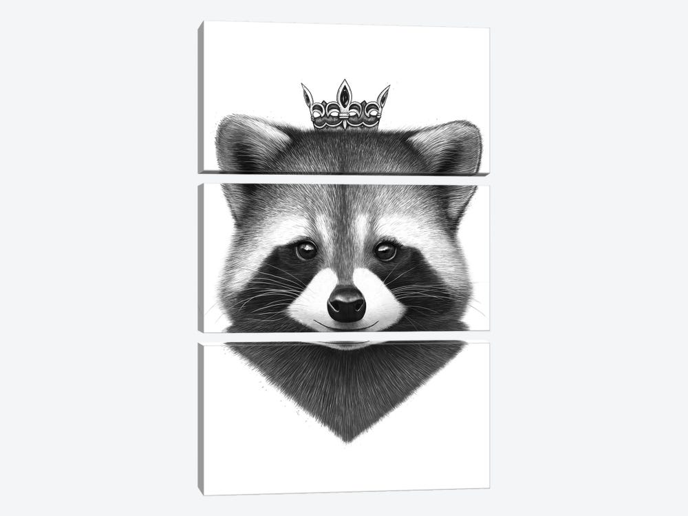 Queen Raccoon by Valeriya Korenkova 3-piece Canvas Art Print
