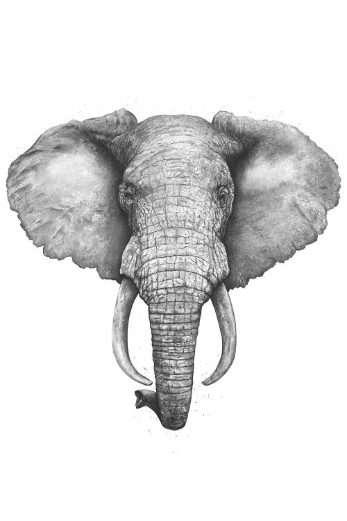 The Elephant