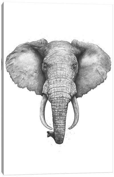 The Elephant Canvas Art Print - Valeriya Korenkova