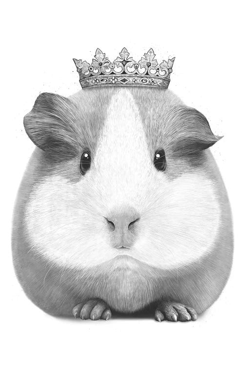 The Guinea Queen by Valeriya Korenkova wall art