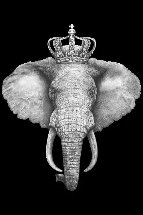 The King Elephant On Black