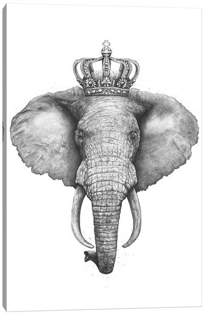 The King Elephant Canvas Art Print - Valeriya Korenkova