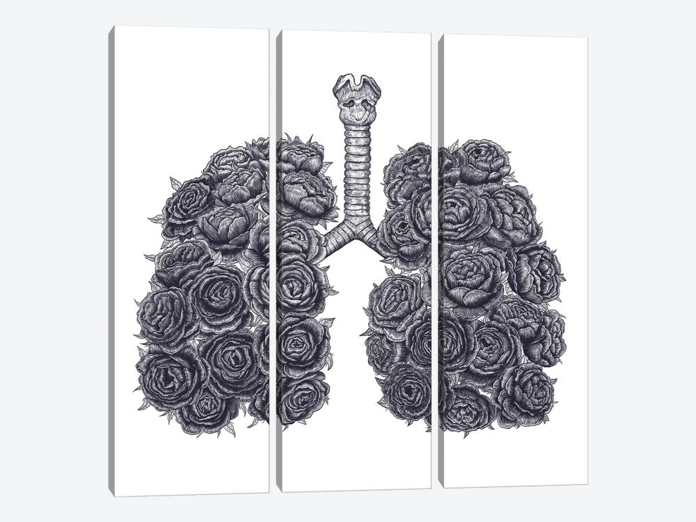 Lungs With Peonies by Valeriya Korenkova 3-piece Canvas Art