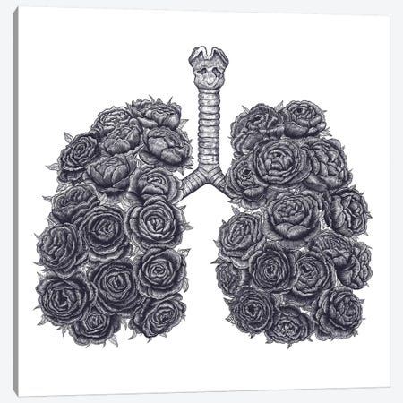 Lungs With Peonies Canvas Print #VAK5} by Valeriya Korenkova Canvas Art Print