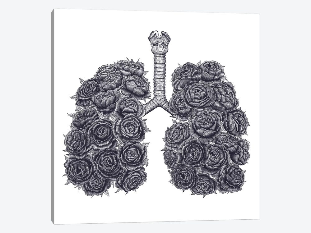 Lungs With Peonies by Valeriya Korenkova 1-piece Canvas Art