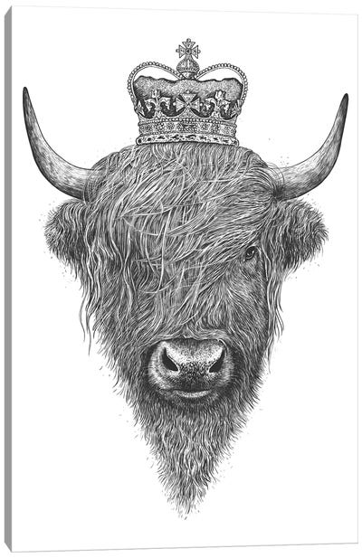 The King Highland Cow Canvas Art Print - Royalty