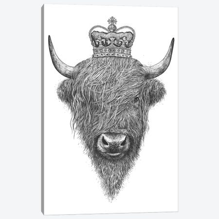 The King Highland Cow Canvas Print #VAK60} by Valeriya Korenkova Canvas Print