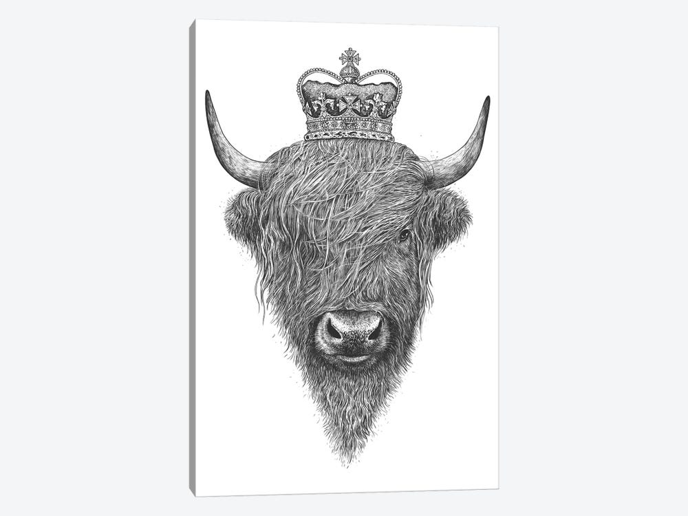 The King Highland Cow by Valeriya Korenkova 1-piece Canvas Wall Art