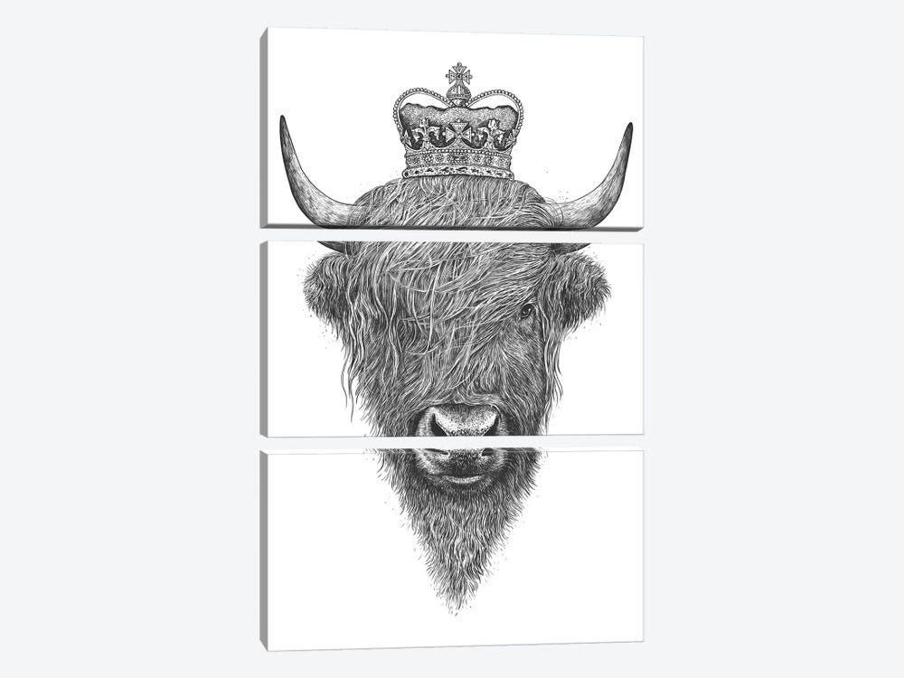 The King Highland Cow by Valeriya Korenkova 3-piece Canvas Artwork
