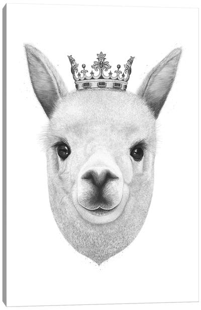 The King Llama Canvas Art Print - Crown Art