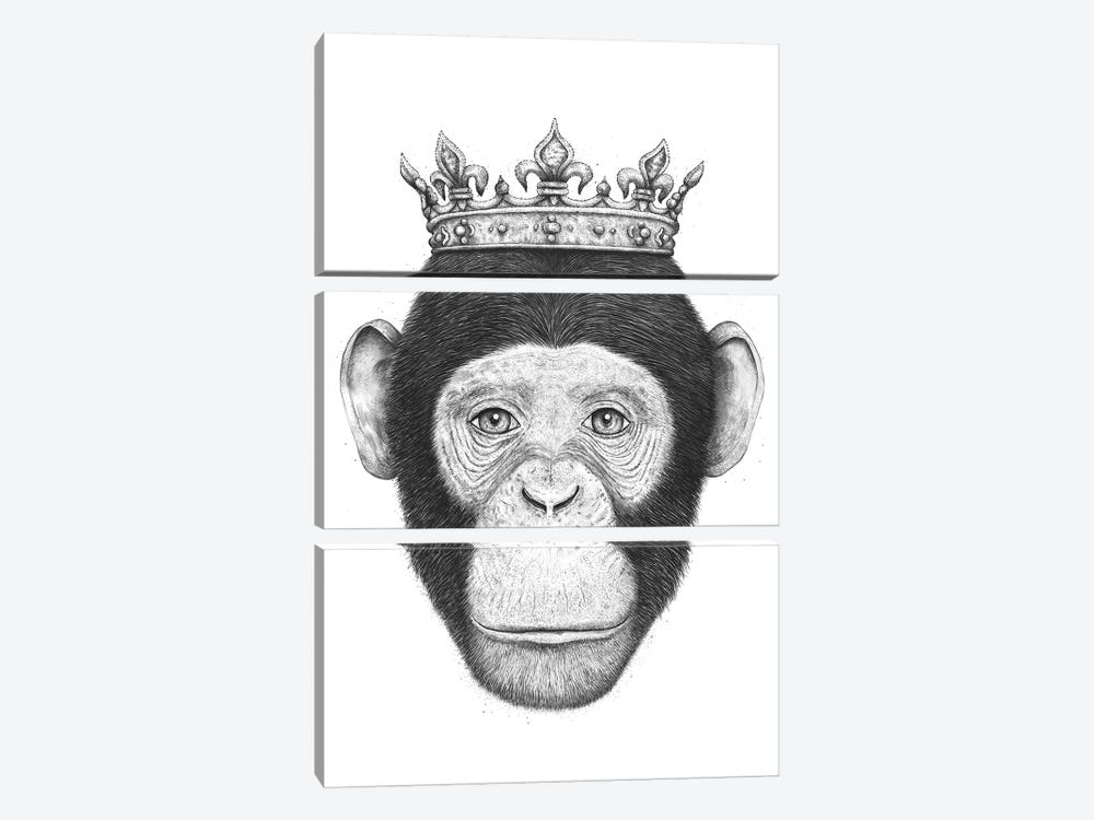 The King Monkey by Valeriya Korenkova 3-piece Canvas Print