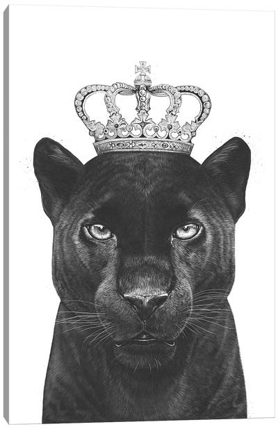 The King Panther Canvas Art Print - Black & White Animal Art