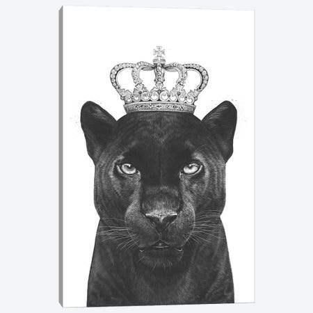 The King Panther Canvas Print #VAK64} by Valeriya Korenkova Canvas Art