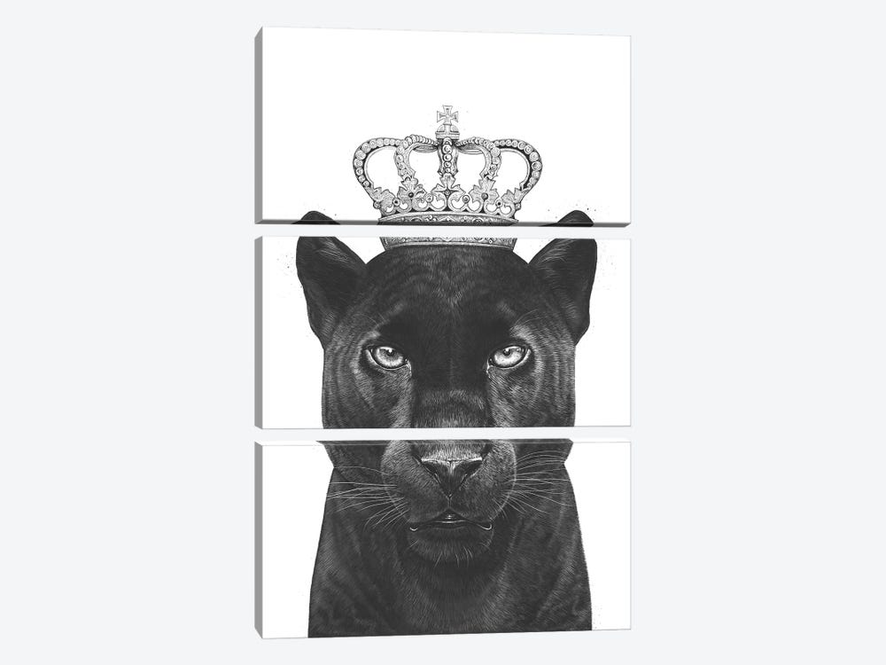 The King Panther 3-piece Canvas Art