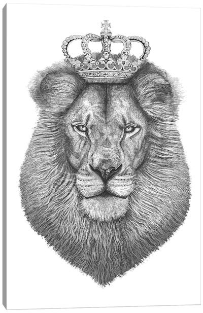 The Lion King Canvas Art Print - Lion Art