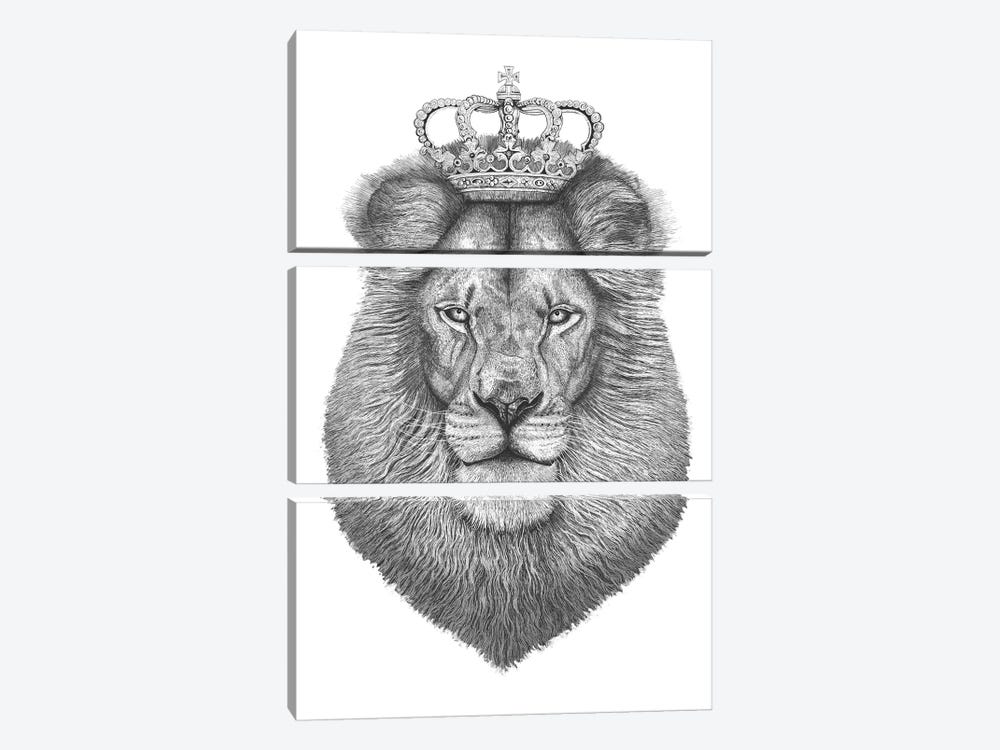 The Lion King by Valeriya Korenkova 3-piece Art Print