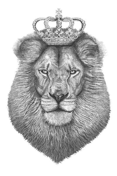 Black & White Drawings & Illustrations: The Lion King by Valeriya Korenkova