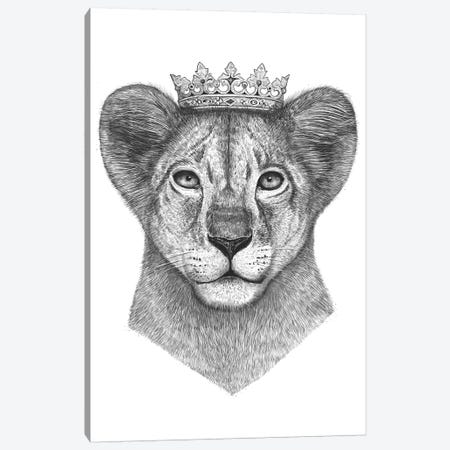 The Lion Prince Canvas Print #VAK66} by Valeriya Korenkova Canvas Artwork