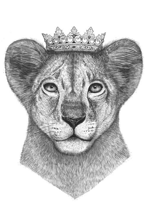 The Lion Prince