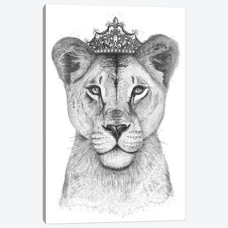 The Lioness Queen Canvas Print #VAK67} by Valeriya Korenkova Canvas Wall Art
