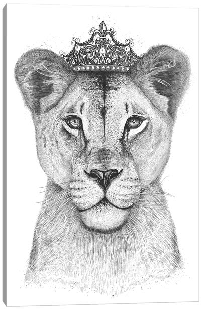 The Lioness Queen Canvas Art Print - Valeriya Korenkova