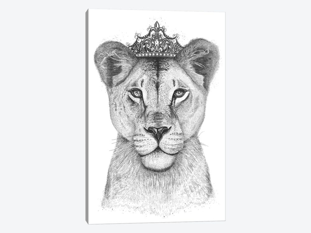The Lioness Queen by Valeriya Korenkova 1-piece Canvas Art Print