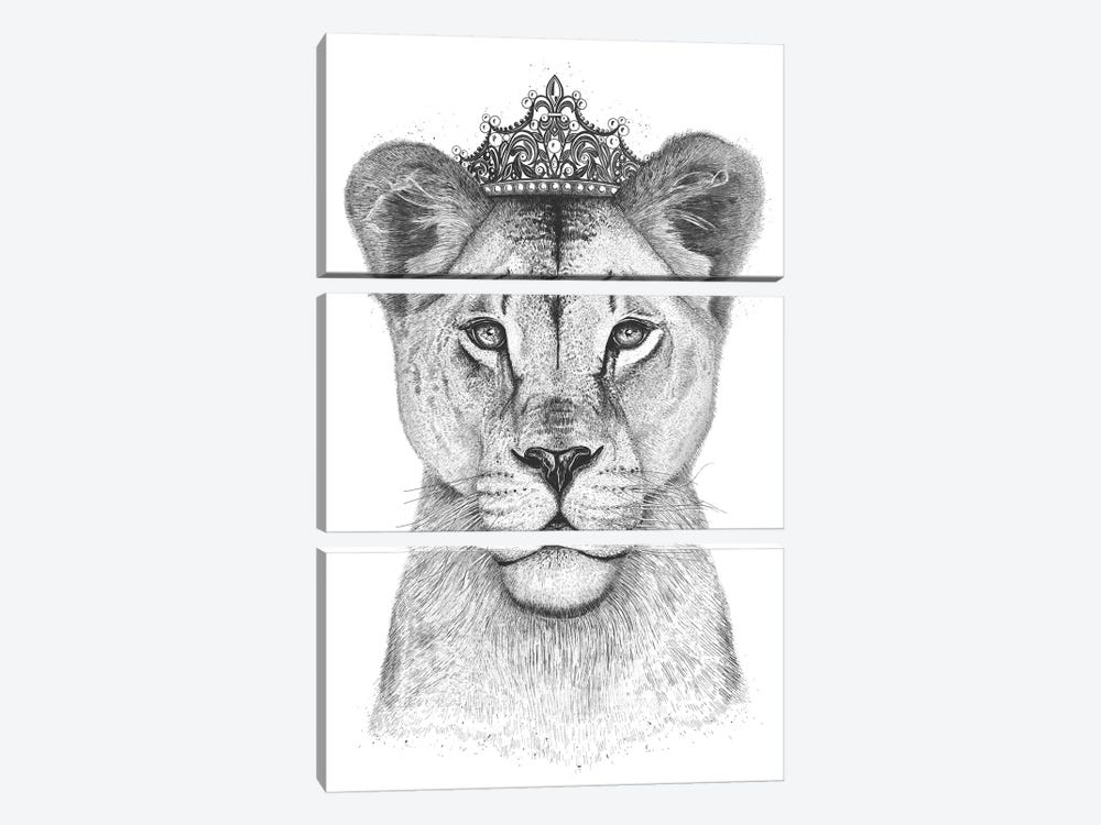 The Lioness Queen by Valeriya Korenkova 3-piece Canvas Print