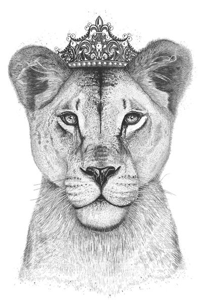 Black & White Drawings & Illustrations: The Lioness Queen by Valeriya Korenkova