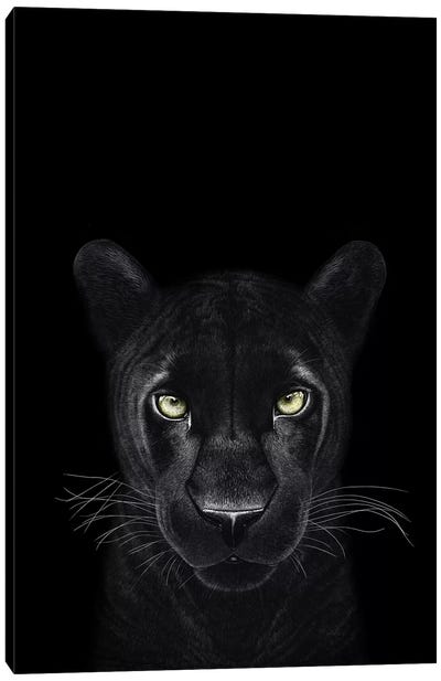 The Panther Girl On Black Canvas Art Print - Panthers