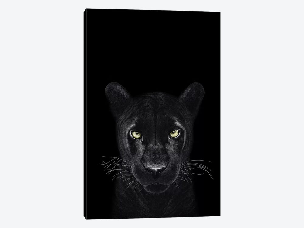 The Panther Girl On Black by Valeriya Korenkova 1-piece Canvas Art