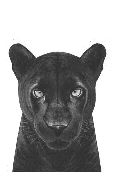 Panthers: The Panther Girl by Valeriya Korenkova