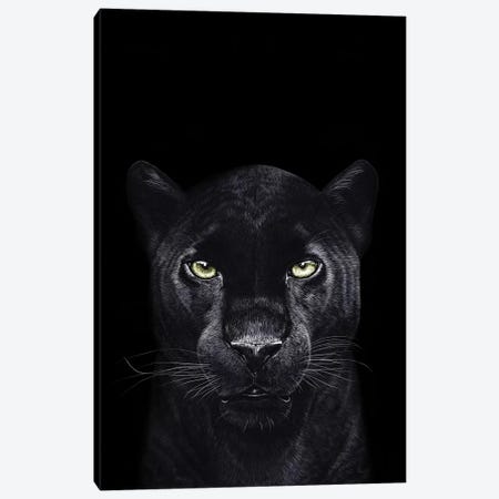 The Panther On Black Canvas Print #VAK70} by Valeriya Korenkova Canvas Art