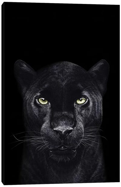 The Panther On Black Canvas Art Print - Valeriya Korenkova