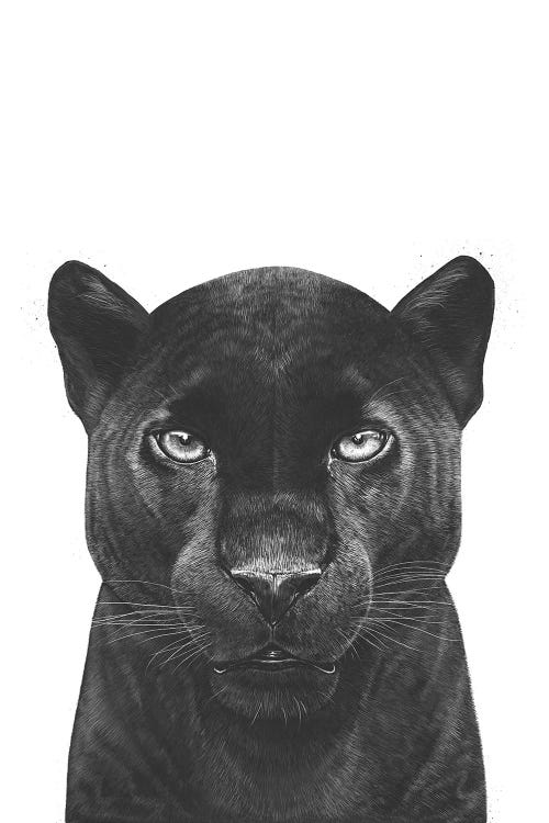 The Panther