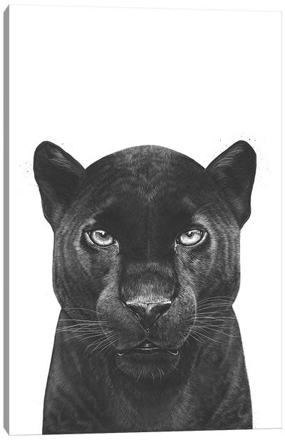 The Panther Canvas Art Print - Valeriya Korenkova