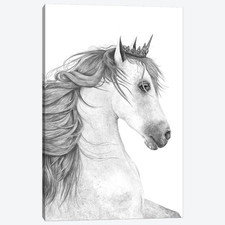 The Queen Horse Canvas Print #VAK72} by Valeriya Korenkova Canvas Wall Art